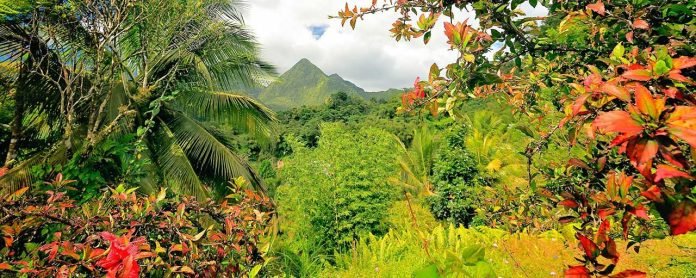 Regional-Natural-Park-of-Martinique